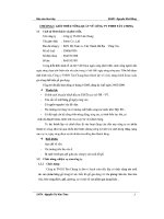 BÁO cáo THỰC tập về CÔNG TY TNHH tân CHUNG 