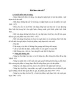 Ma trận đề kiểm tra bài viết số 7 ngữ văn 12