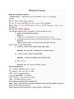 Relative clauses   english grammar 
