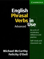 Advanced phrasal verbs in use 
