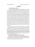 CHUYÊN đề các GIẢI PHÁP NHẰM NÂNG CAO NĂNG lực CẠNH TRANH của CÔNG TY DU LỊCH HƯƠNG GIANG CHI NHÁNH hà nội 