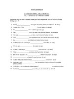 Conditional sentences type 1   5 