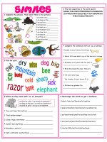 similes vocablary exercises 
