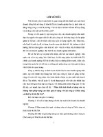 PHÂN TÍCH TÌNH HÌNH sử DỤNG vốn và NHỮNG BIỆN PHÁP NÂNG CAO HIỆU QUẢ sử DỤNG vốn tại CÔNG TY CHIẾU SÁNG và THIẾT bị đô THỊ hà nội 