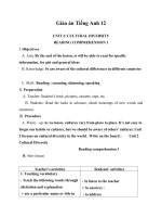 Giáo án Tiếng Anh 12 Unit 2: Cultural diversity