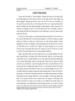 BÁO cáo THỰC tập kế TOÁN bán HÀNG và xác ĐỊNH kết QUẢ KINH DOANH ở CÔNG TY cổ PHẦN tân VĨNH TIẾN 