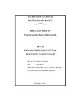 TIỂU LUẬN KIỂM SOÁT DÒNG vốn ở VIỆT NAM   THÁCH THỨC và KHUYẾN NGHỊ 