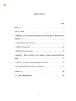 ĐỀ tài một số TÍNH CHẤT của các PHẦN tử HẠNG hữu hạn và các PHẦN tử HẠCH TRONG đại số BANACH 