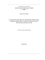 Xác định đồng thời Arsen(III), monomethylarsonic (MMA), dimethylarsonic (DMA) và arsen (v) trong nước tiểu bằng phương pháp HPLC ICP MS 