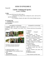 Giáo án Tiếng Anh 12 unit 10: Endangered species