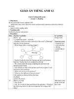 Giáo án Tiếng Anh 12 Unit 2: Cultural diversity