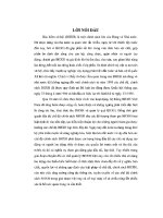 CHUYÊN đề HOÀN THIỆN QUẢN lý THU QUỸ bảo HIỂM xã hội TRÊN địa bàn HUYỆN sơn DƯƠNG, TỈNH TUYÊN QUANG 