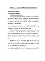 ĐỀ tài PHÁP LUẬT về bảo hộ LAO ĐỘNG   SO SÁNH GIỮA PHÁP LUẬT VIỆT NAM và PHÁP LUẬT lào 