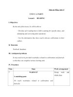 Giáo án Tiếng Anh 11 Unit 3: A party