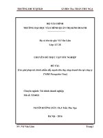 Bào cáo chuyên đề Các giải pháp tài chính nhằm đẩy mạnh tiêu thụ, tăng doanh thu tại công ty TNHH Poongchin Vina