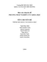 Tieu luan bao cao nghien cuu khoa hoc