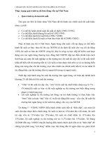 Thực trạng quá trình tự do hóa dòng vốn tại việt nam