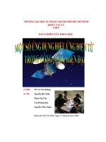 ĐỀ tài một số ỨNG DỤNG HIỆU ỨNG điện từ TRONG CÔNG NGHỆ HIỆN đại 