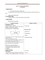 Giáo án Tiếng Anh 12 Unit 2: Cultural diversity