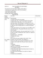 Giáo án Tiếng Anh 11 unit 16: The wonders of the world