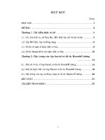 ĐỀ tài đặc TRƯNG của tập FRACTAL có độ đo HAUSDOFF DƯƠNG 