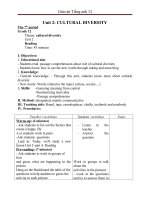Giáo án Tiếng Anh 12 Unit 2: Cultural diversity