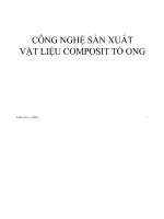 ĐỀ tài CÔNG NGHỆ sản XUẤT vật LIỆU COMPOSIT tổ ONG 
