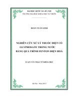 Nghiên cứu xử lý thuốc diệt cỏ glyphosate trong nước bằng phương pháp fenton điện hoá 