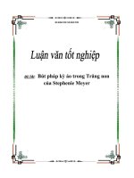 ĐỀ tài bút PHÁP kỳ ảo TRONG TRĂNG NON của STEPHENIE MEYER 