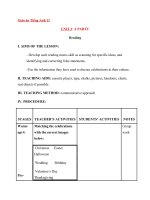 Giáo án Tiếng Anh 11 Unit 3: A party