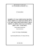 Nghiên cứu đặc điểm sinh trưởng phát triển của một số giống ớt ở các điều kiện phân bón khác nhau trồng vụ đông 2015 tại cao minh   phúc yên   vĩnh phúc (LV01847)