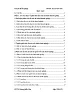 CHUYÊN đề PHÂN TÍCH cấu TRÚC tài CHÍNH tại KHÁCH sạn FORTUNA 