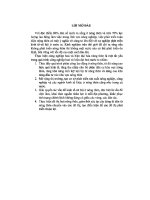 CÔNG NGHIỆP hóa   HIỆN đại hóa NÔNG THÔN ở nước TA 