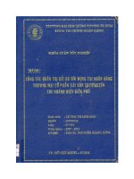 Công tác quản trị rủi ro tín dụng tại ngân hàng thương mại cổ phần Sài Gòn thương tín