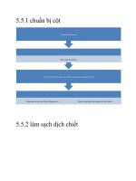 phương pháp Phân tích sắc ký