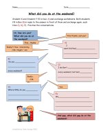 49513 what did you do at the weekend 