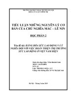 Tiểu luận triết học: Hàng hóa sức lao động và ý nghĩa đối với việc hoàn thiện thị trường sức lao động Việt Nam hiện nay