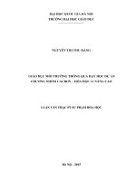 Giáo dục môi trường thông qua dạy học dự án chương nhóm cacbon – hóa học 11 nâng cao 