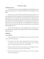 báo cáo tổng hợp về kỹ thuật laser