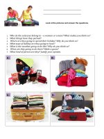 56917 holiday suitcase 5 