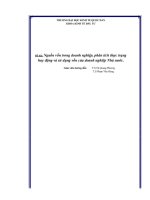 ĐỀ tài NGUỒN vốn TRONG DOANH NGHIỆP   PHÂN TÍCH THỰC TRẠNG HUY ĐỘNG và sử DỤNG vốn của DOANH NGHIỆP NHÀ nước 