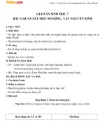 Giáo án Sinh học 7 bài 3: Thực hành quan sát một số động vật nguyên sinh