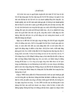 CHUYÊN đề một số GIẢI PHÁP MARKETING   MIX NHẰM mở RỘNG THỊ TRƯỜNG của CÔNG TY TNHH dược PHẨM ICA PHACMARCEUTICALS   CHI NHÁNH hà nội 