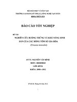 BÁO cáo NGHIÊN cứu BUỒNG TRỨNG và KHẢ NĂNG SINH sản của các DÒNG tôm sú GIA hóa 
