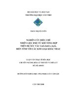 LUẬN văn NGHIÊN cứu điều CHẾ NHIÊN LIỆU DME từ KHÍ TỔNG hợp TRÊN hệ xúc tác CUO ZNO AL2O3 BIẾN TÍNH với các KIM LOẠI KHÁC NHAU 