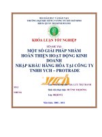 Một số giải pháp nhằm hoàn thiện hoạt động kinh doanh nhập khẩu hàng hóa tại công ty TNHH YCH   protrare
