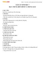 Giáo án Sinh học 7 bài 5: Trùng biến hình và trùng giày