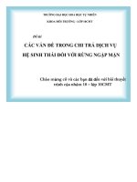 ĐỀ tài các vấn đề TRONG CHI TRẢ DỊCH vụ hệ SINH THÁI đối với RỪNG NGẬP mặn 