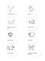 4957 colour the animals 