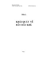 KHÓA LUẬN các điều KIỆN THUẬN lợi để HÌNH THÀNH nên các bẫy CHỨA dầu KHÍ của KHU vực MIỀN NAM VIỆT NAM 